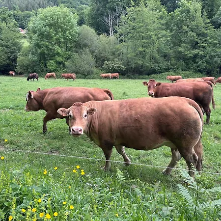 La-vialette D Hotes